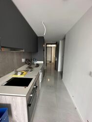 Riverfront Residences (D19), Apartment #539534641